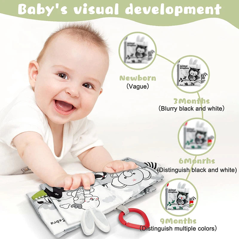 Baby Book – Enhance Your Baby's Learning Today!